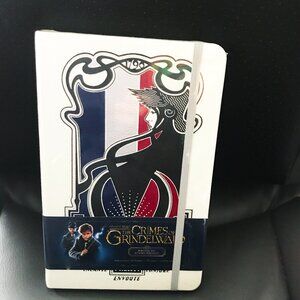Fantastic Beasts Crimes of Grindelwald Ministère des Affaires Magiques Journal
